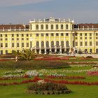 Schönbrunn Palast / Wien