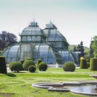 Schönbrunn Palmenhaus