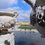 Schönbrunn vom Neptunbrunnen