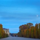 Schönbrunn, Wien in Coronazeiten