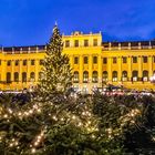 Schönbrunn zur Weihnachtszeit