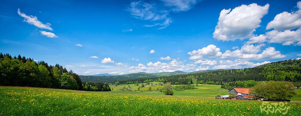 Schönbrunner Häuser