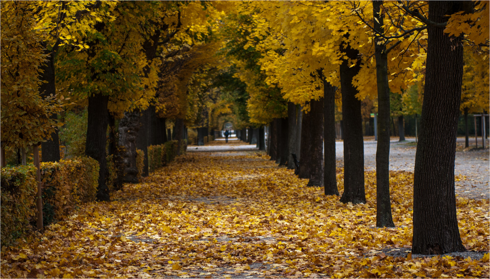 Schönbrunner Herbstwege
