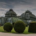 Schönbrunner Palmenhaus