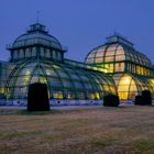 Schönbrunner Palmenhaus