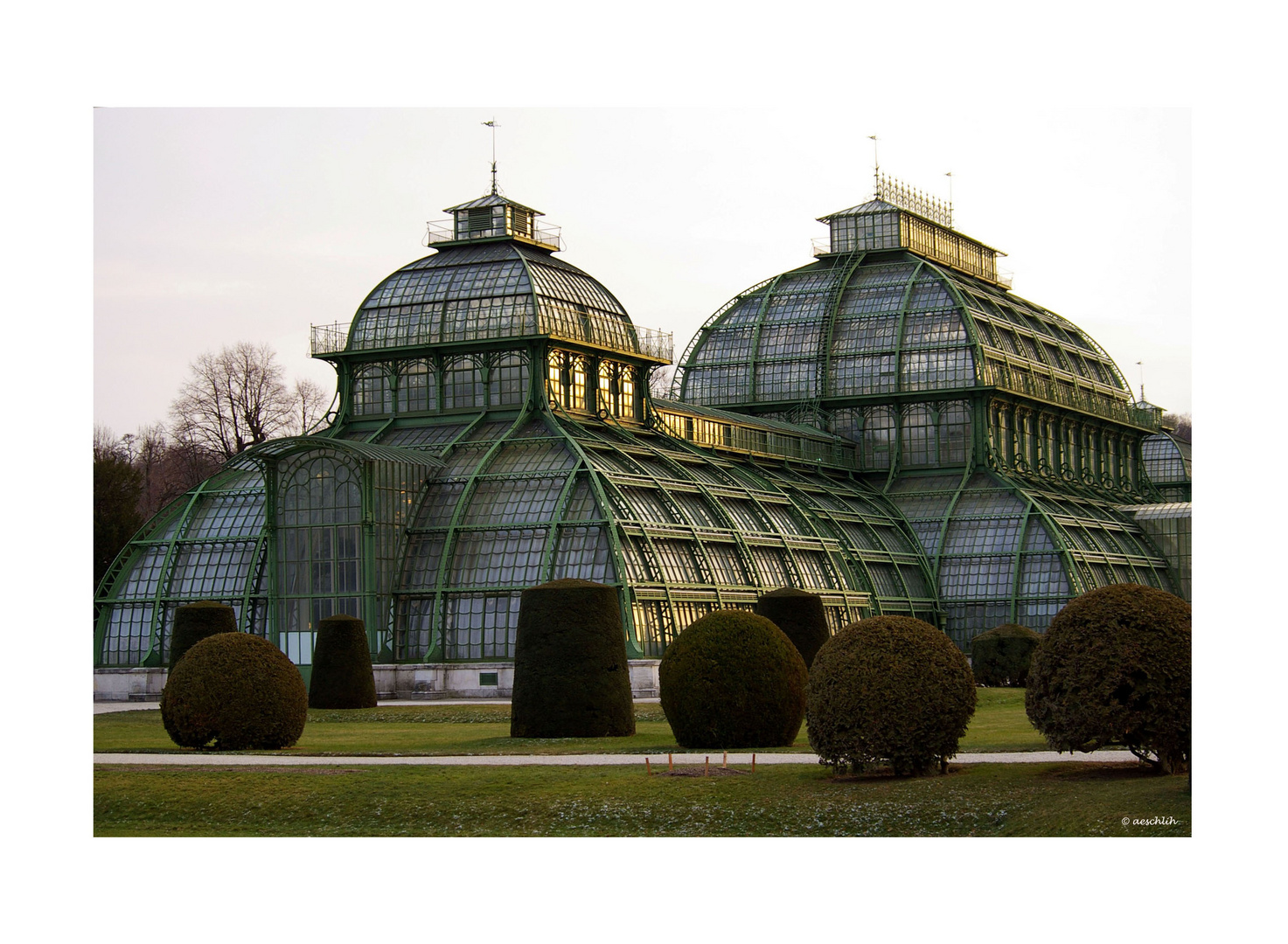 Schönbrunner Palmenhaus