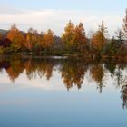 Schönbrunner See