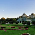 Schönbrunns Gärten