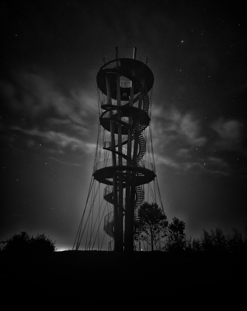 Schönbuchturm bei Nacht S/W