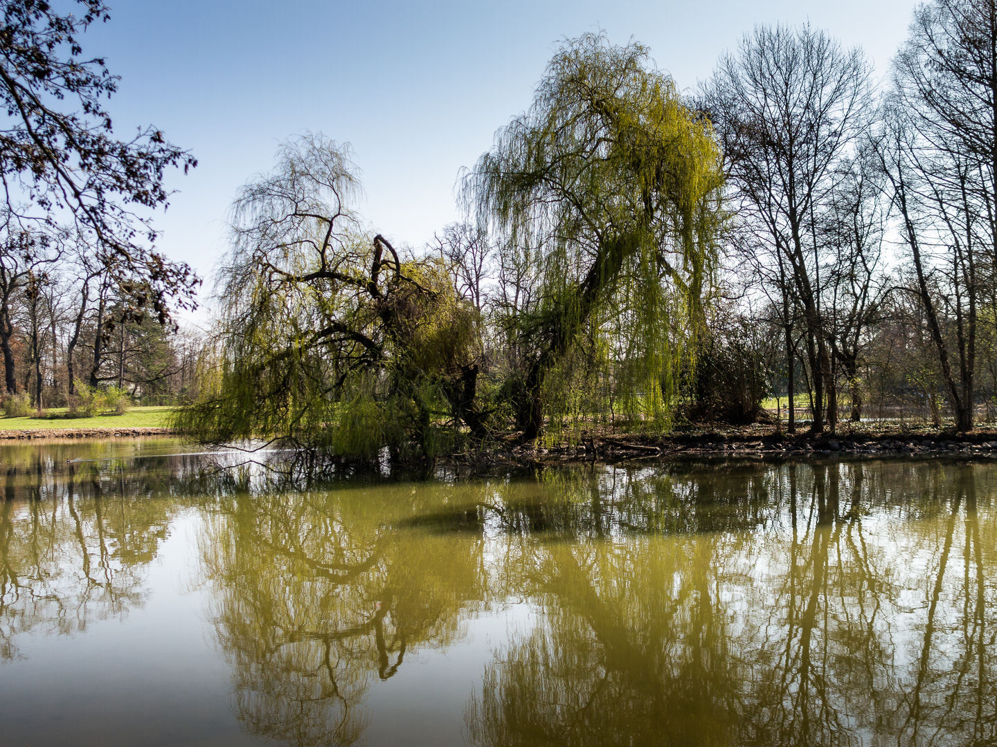 Schönbusch 06