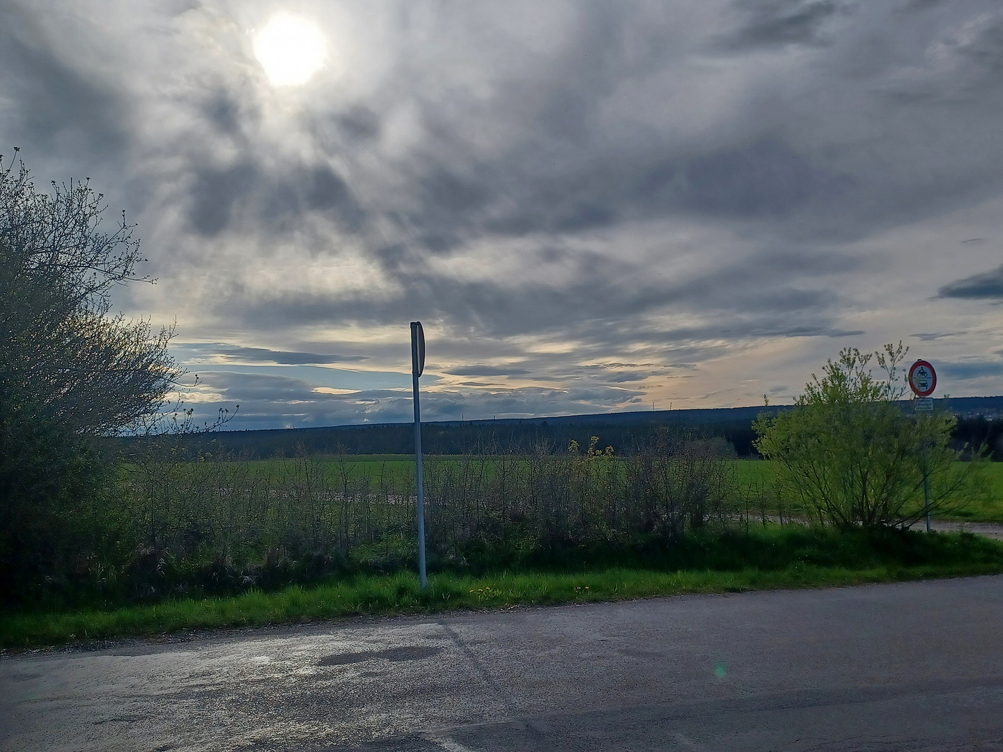 schöne Abendstimmung - Rietheim