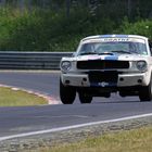 schöne Abwechslung bei der VLN