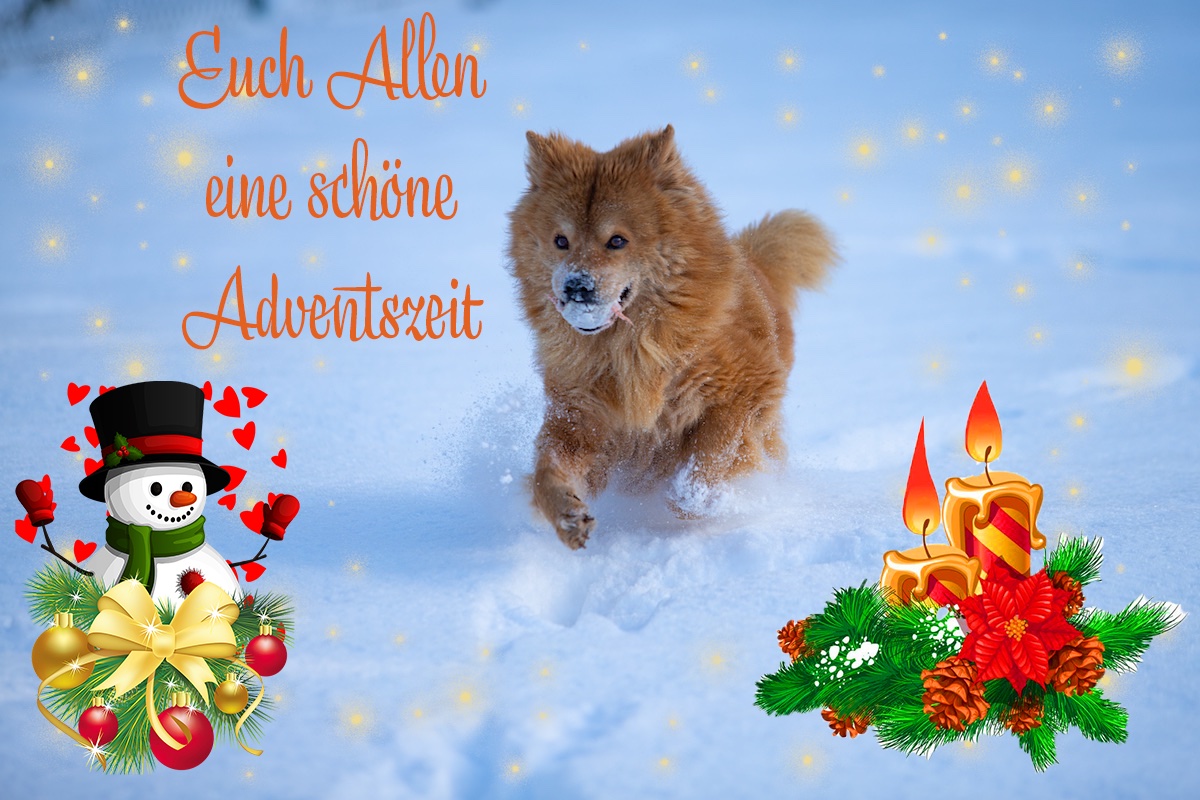 Schöne Adventszeit