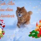 Schöne Adventszeit