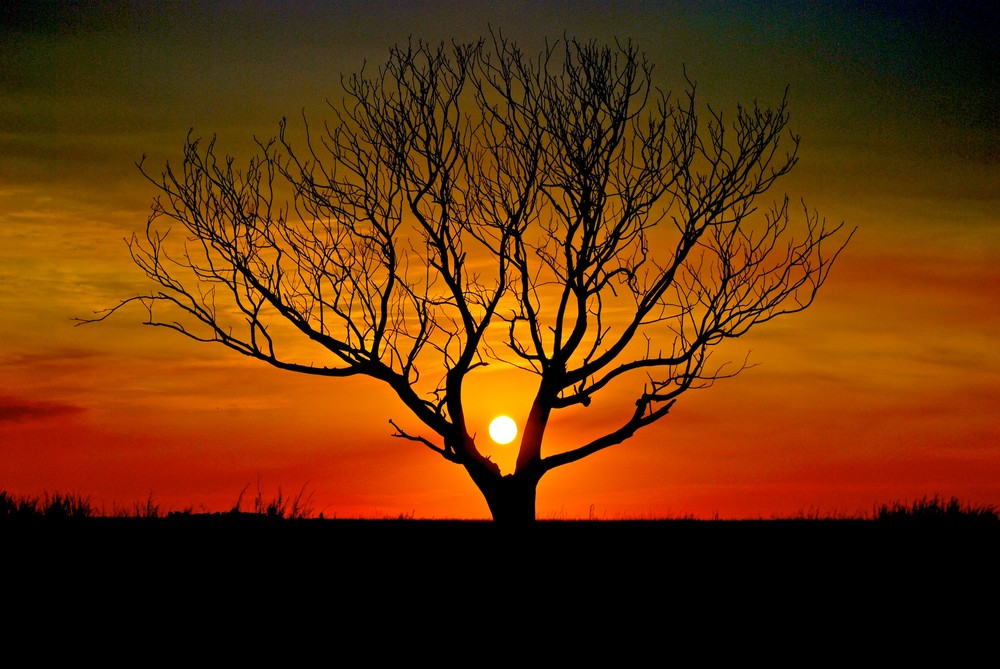 Bilder Aus Treibholz Und Steinen