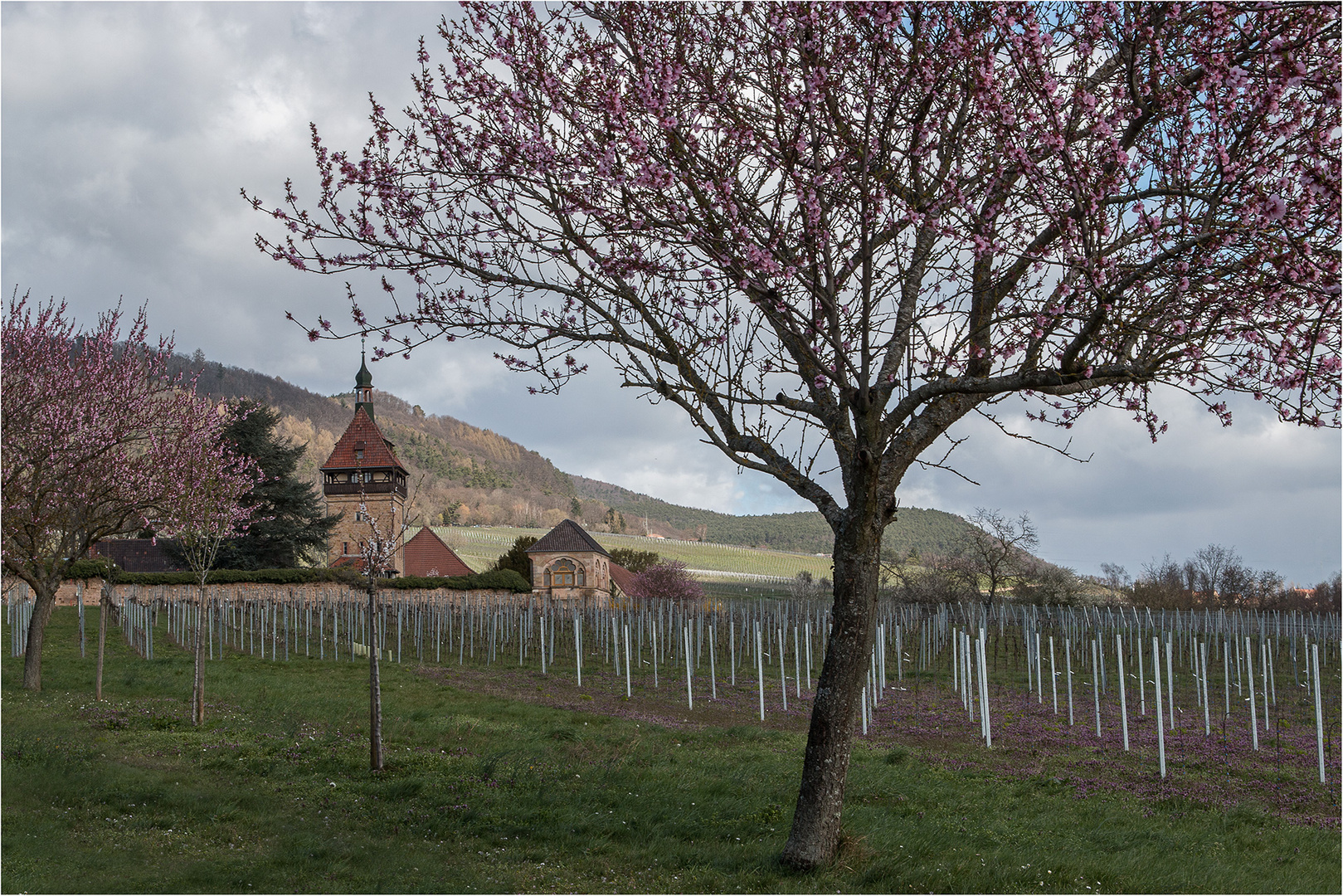 Schöne Aussicht