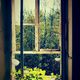 028-Fenster