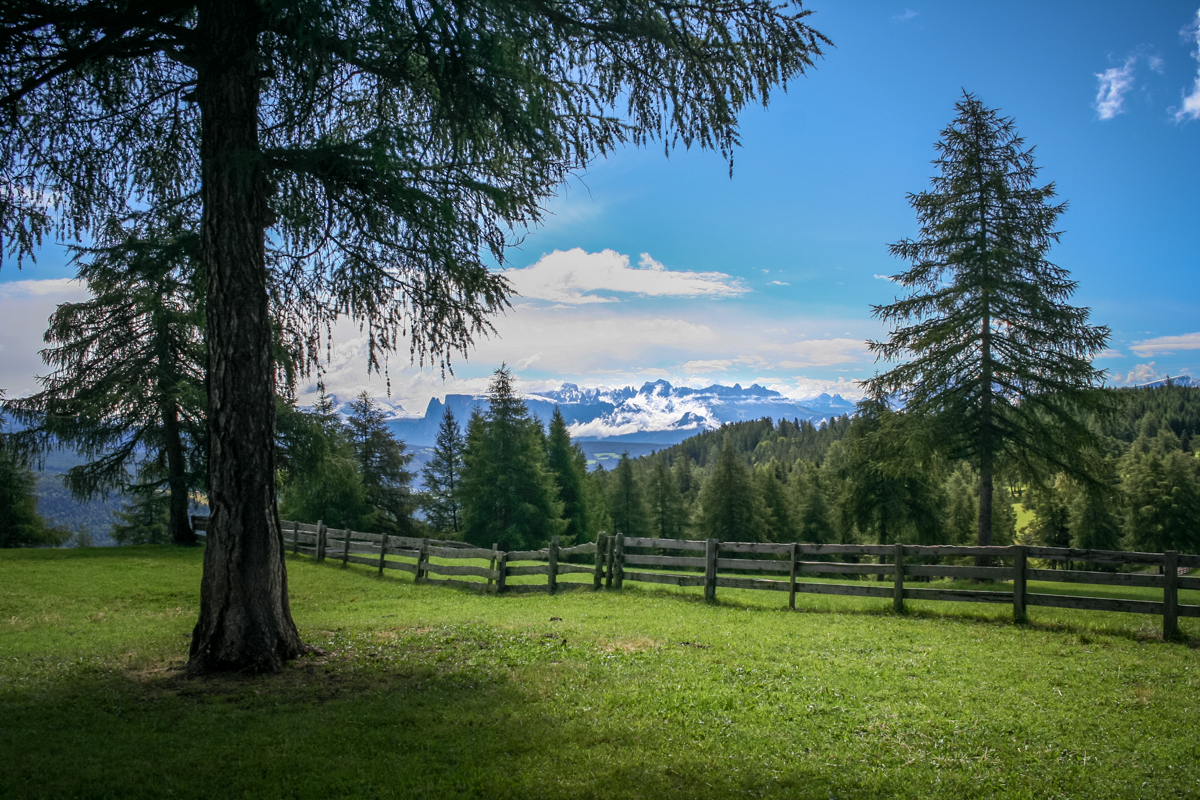 Schöne Aussicht