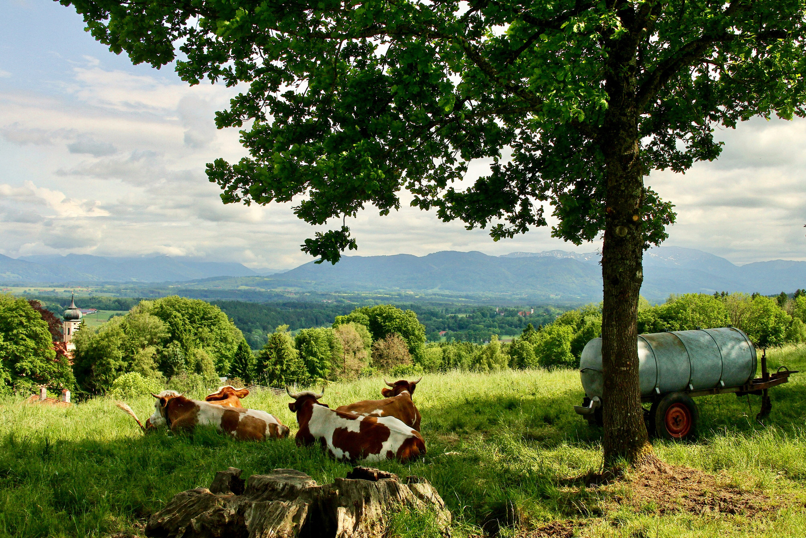 Schöne Aussicht