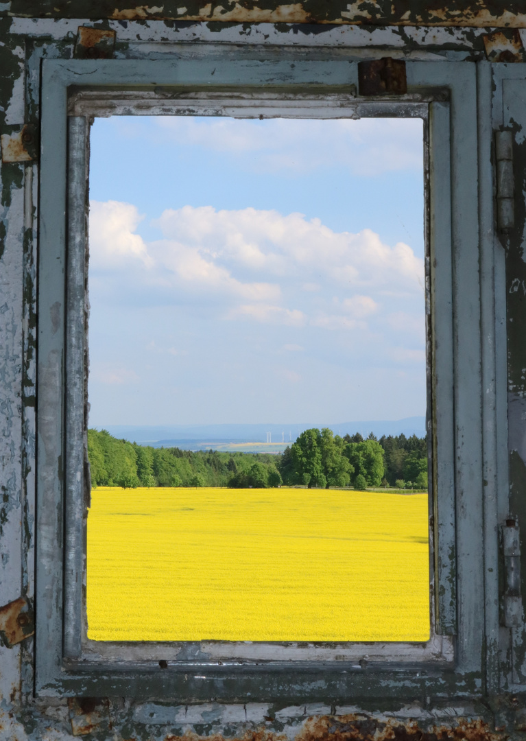 Schöne Aussicht