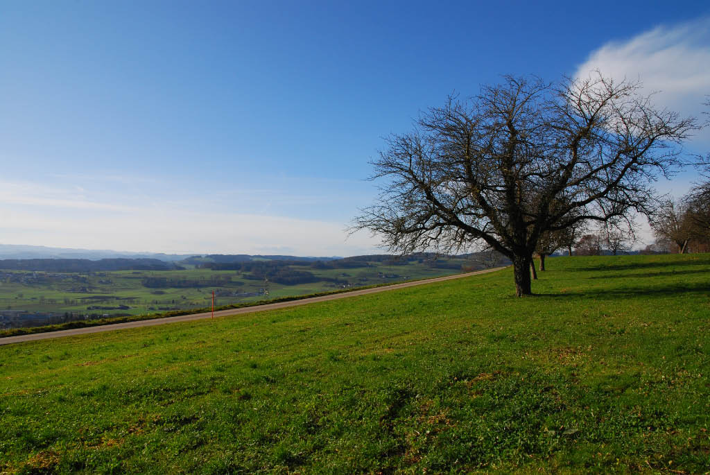 schöne Aussicht