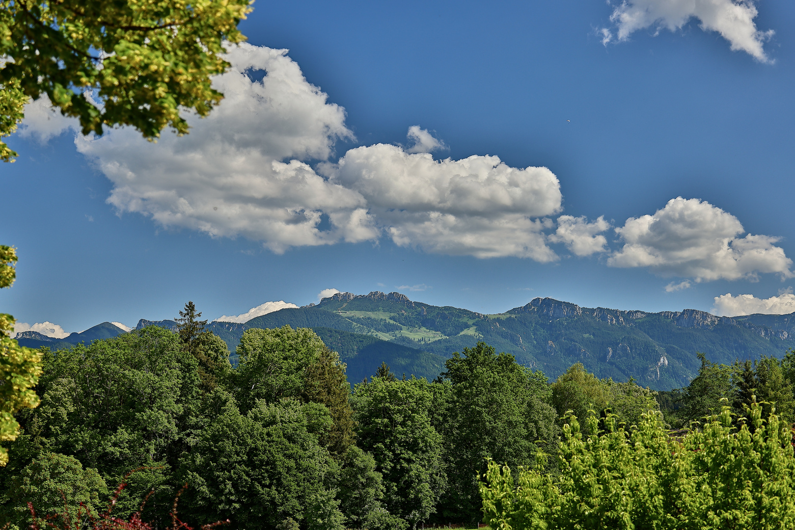 Schöne Aussicht.