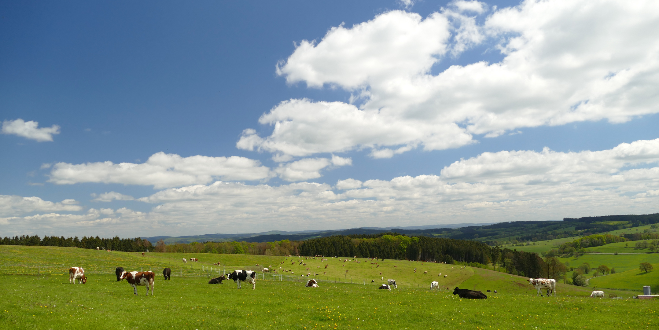 °°°° Schöne Aussicht °°°°