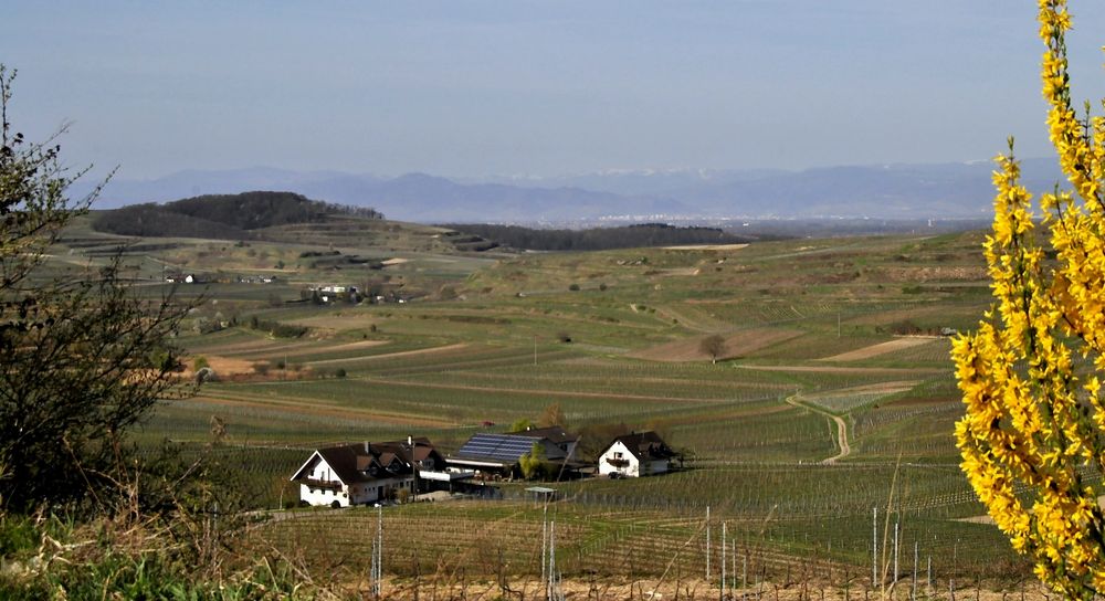 Schöne Aussicht