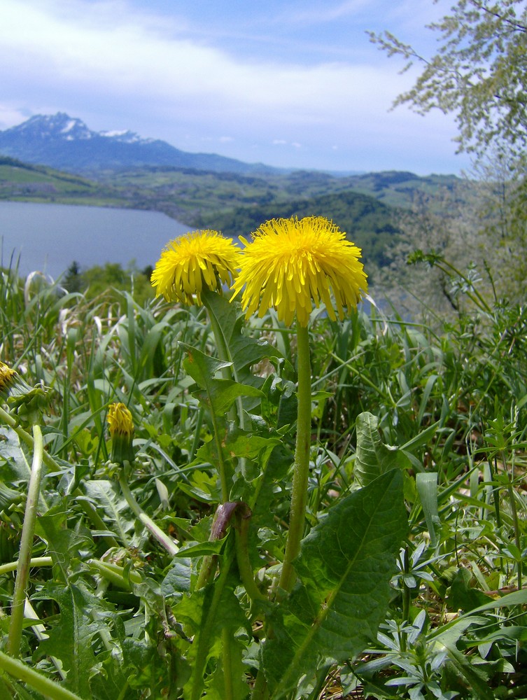 Schöne Aussicht