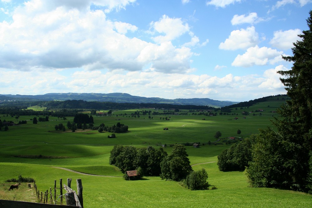 Schöne Aussicht am Fuße des Grünten