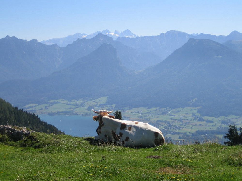 Schöne Aussicht auf das Salzkammergut