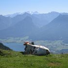 Schöne Aussicht auf das Salzkammergut