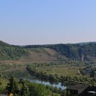 Schöne Aussicht auf die Mosel.