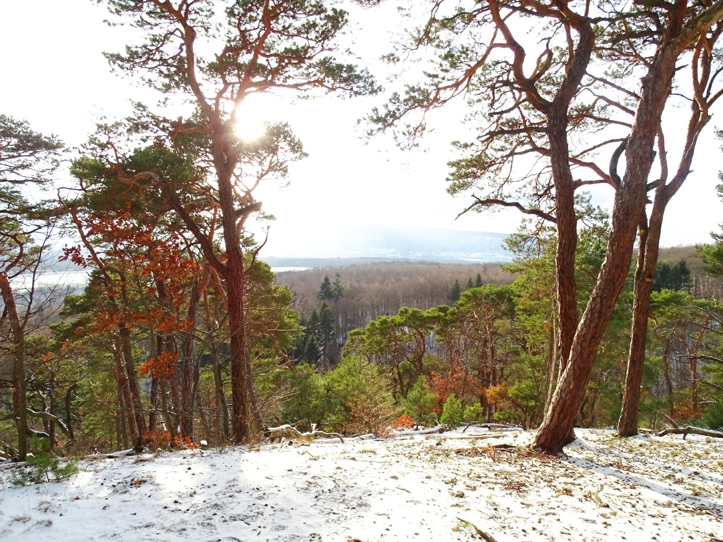 schöne Aussicht