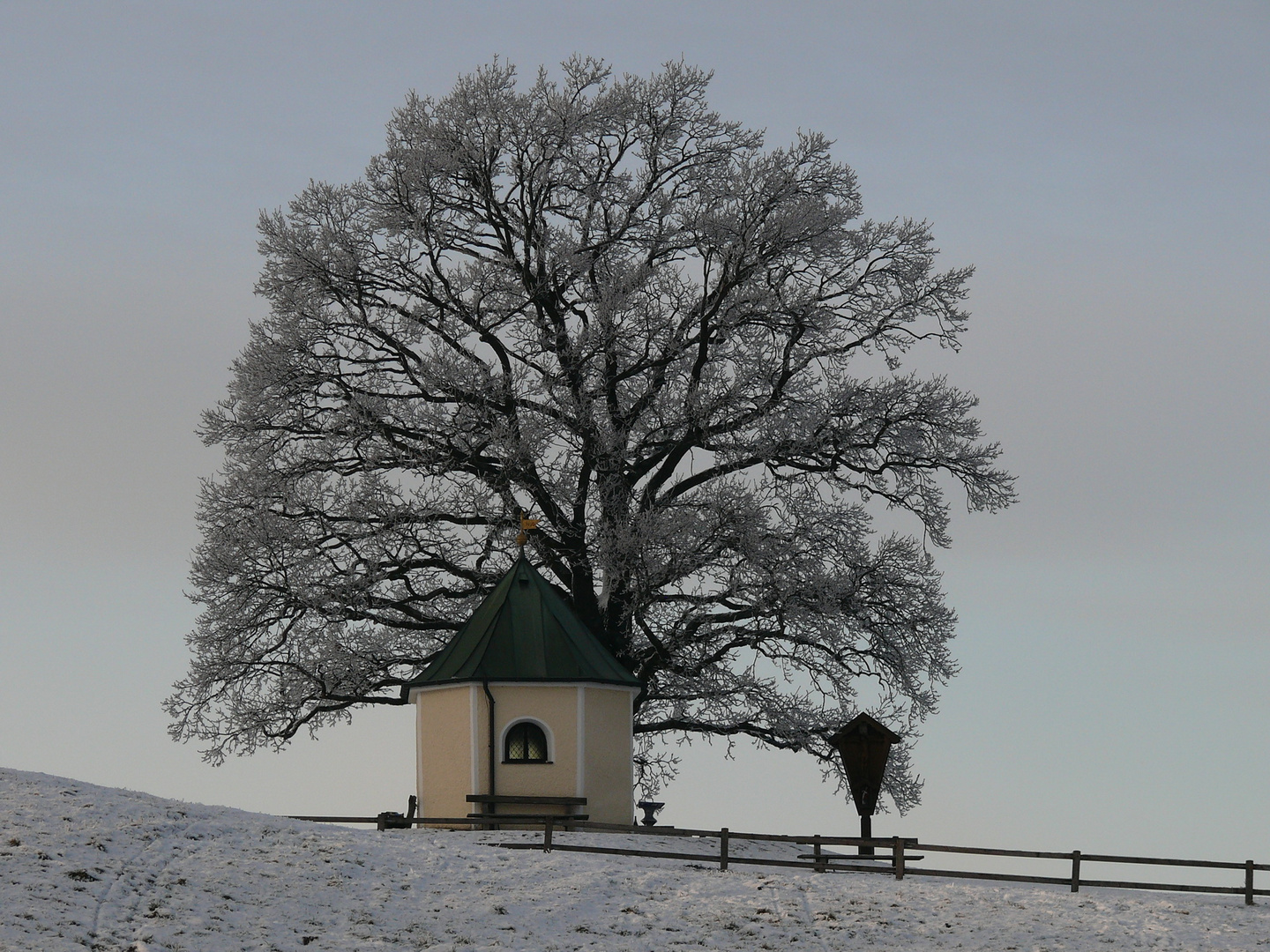 Schöne Aussicht