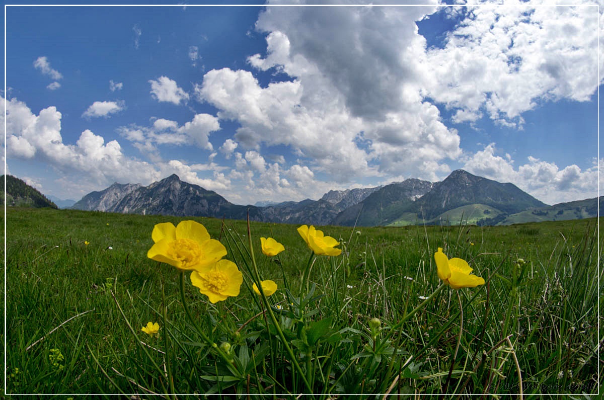 schöne Aussicht