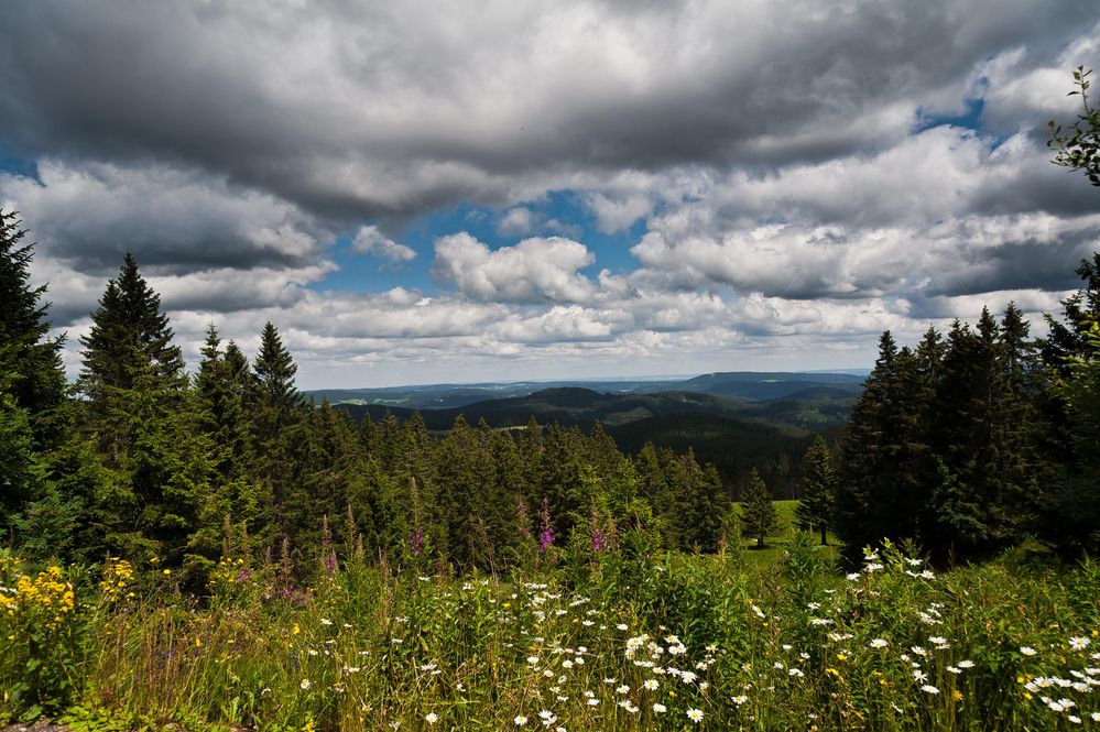 schöne Aussicht