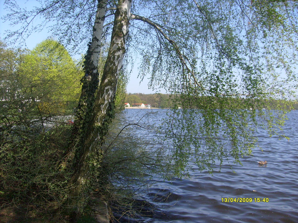 Schöne Aussicht