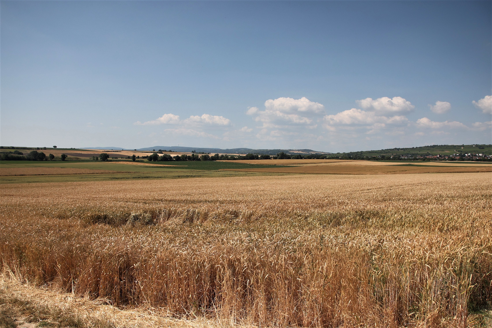 Schöne Aussicht