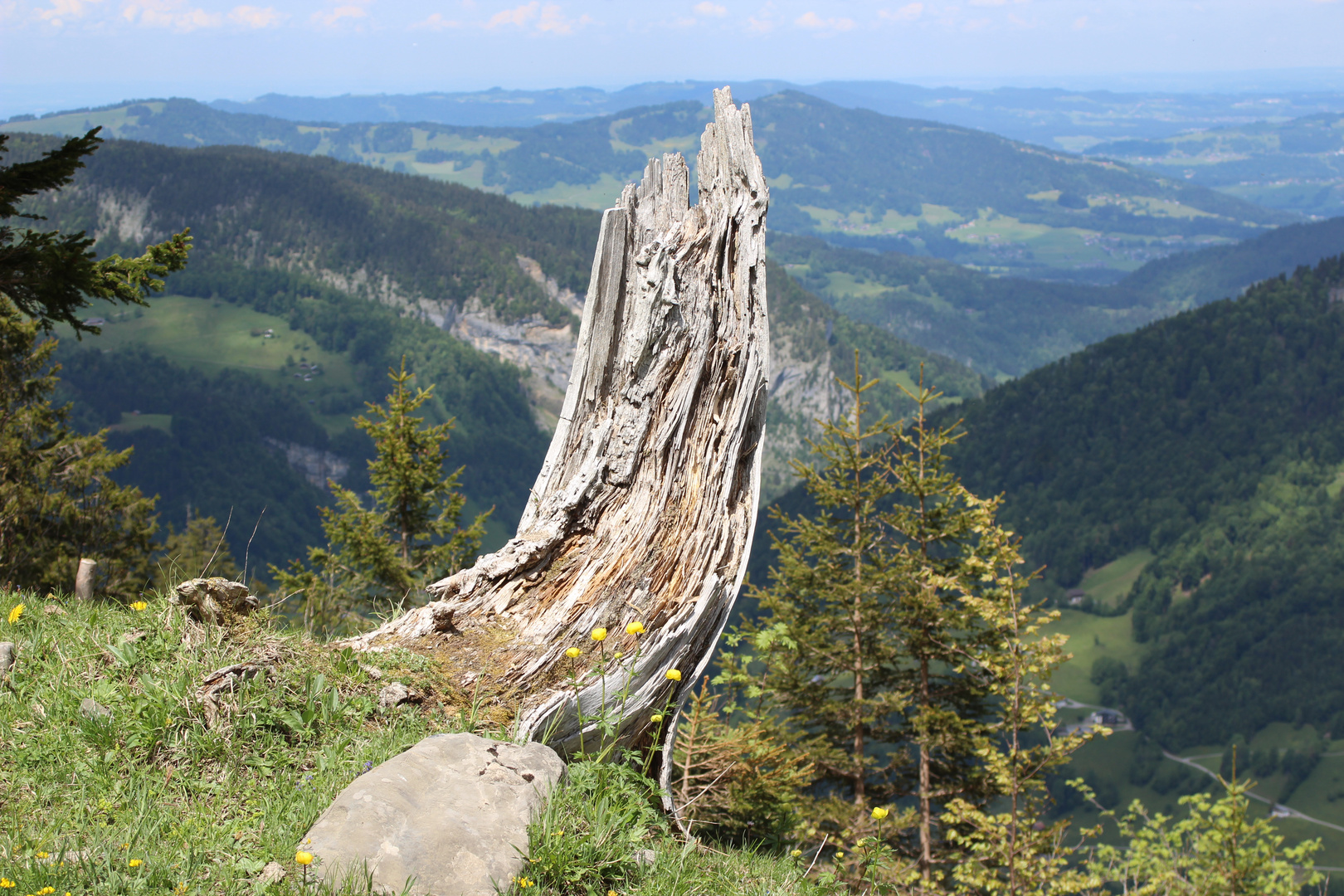 Schöne Aussicht