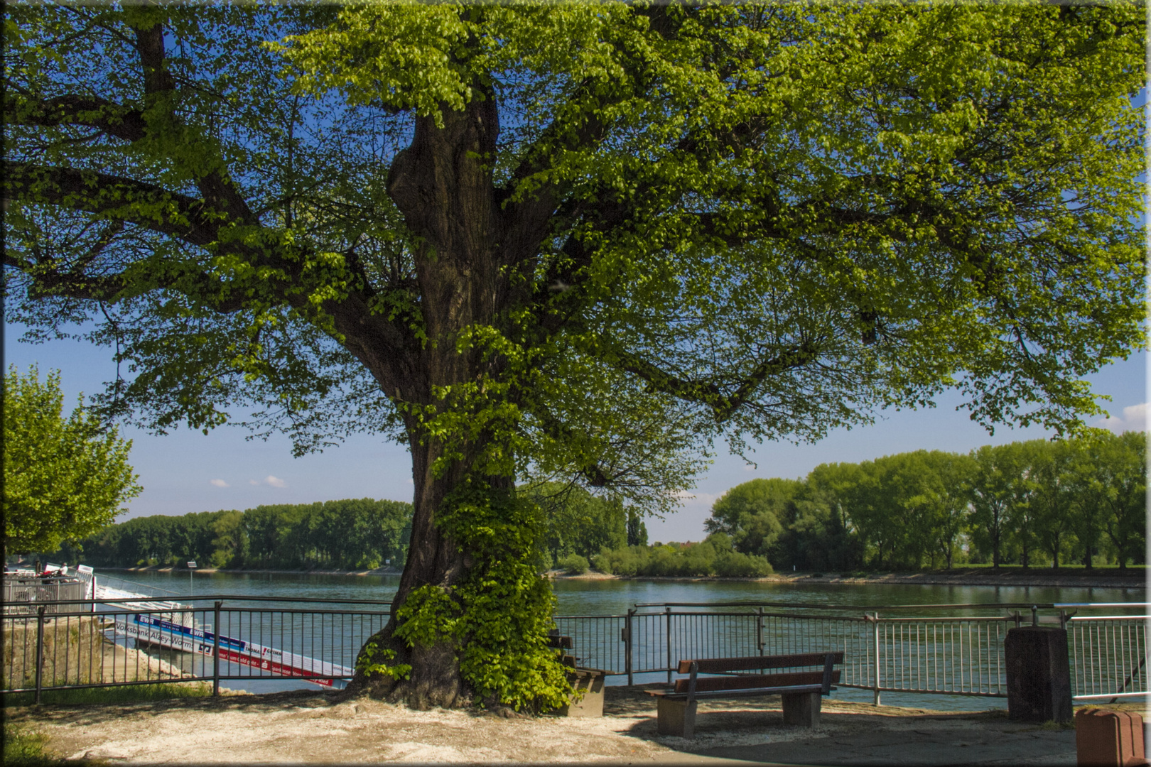 SCHÖNE AUSSICHT