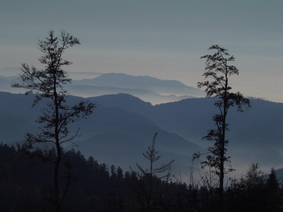 Schöne Aussicht