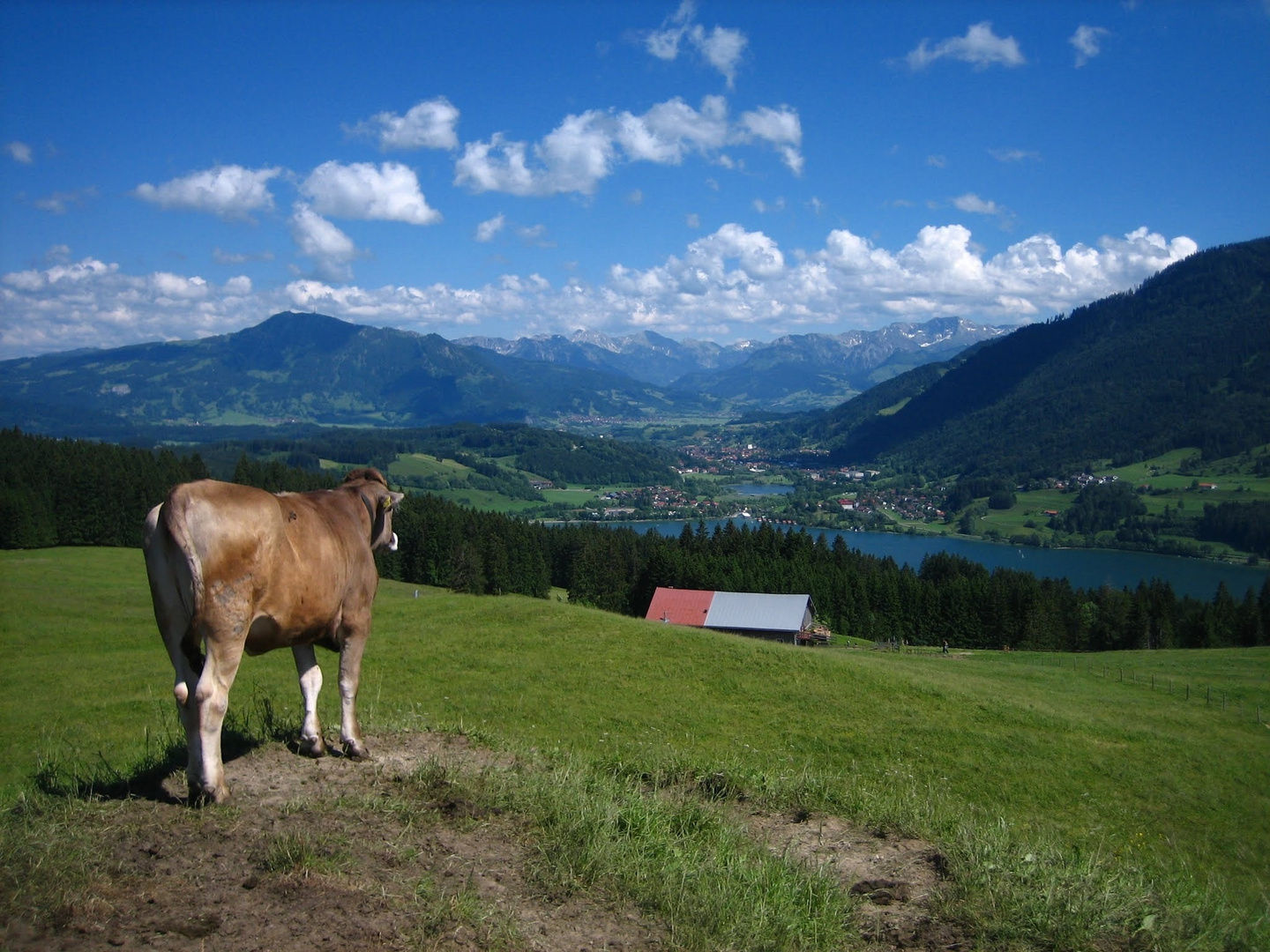 Schöne Aussicht