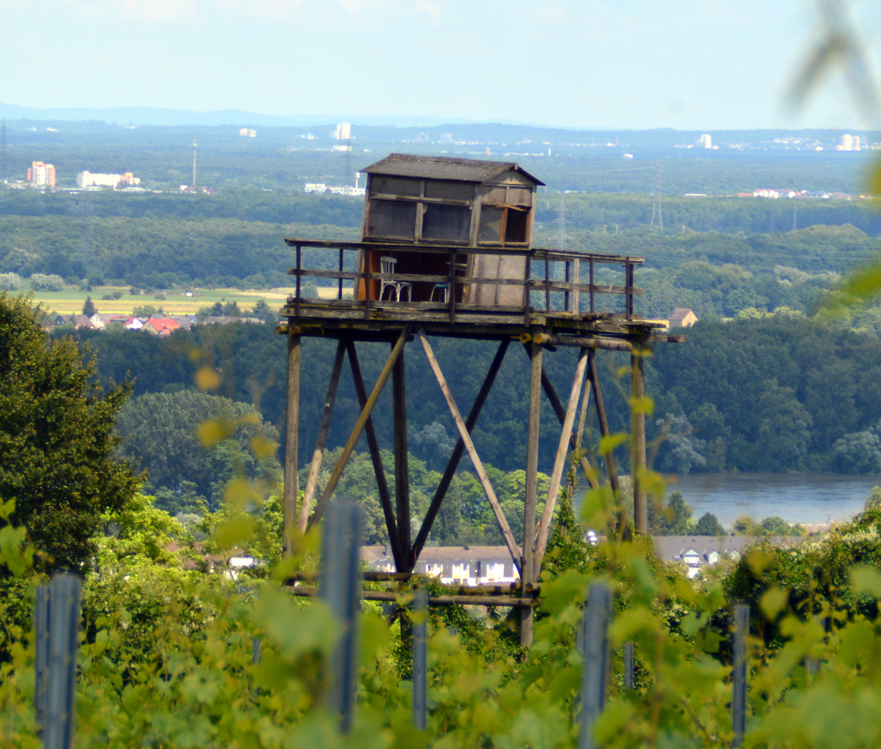 schöne Aussicht