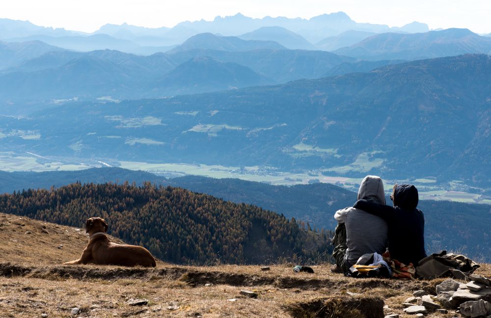 Schöne Aussicht für Mensch und Tier