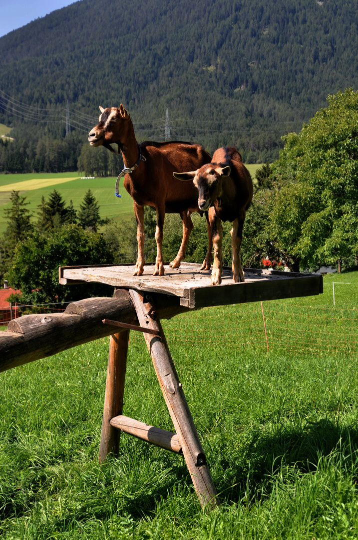 Schöne Aussicht hier ....