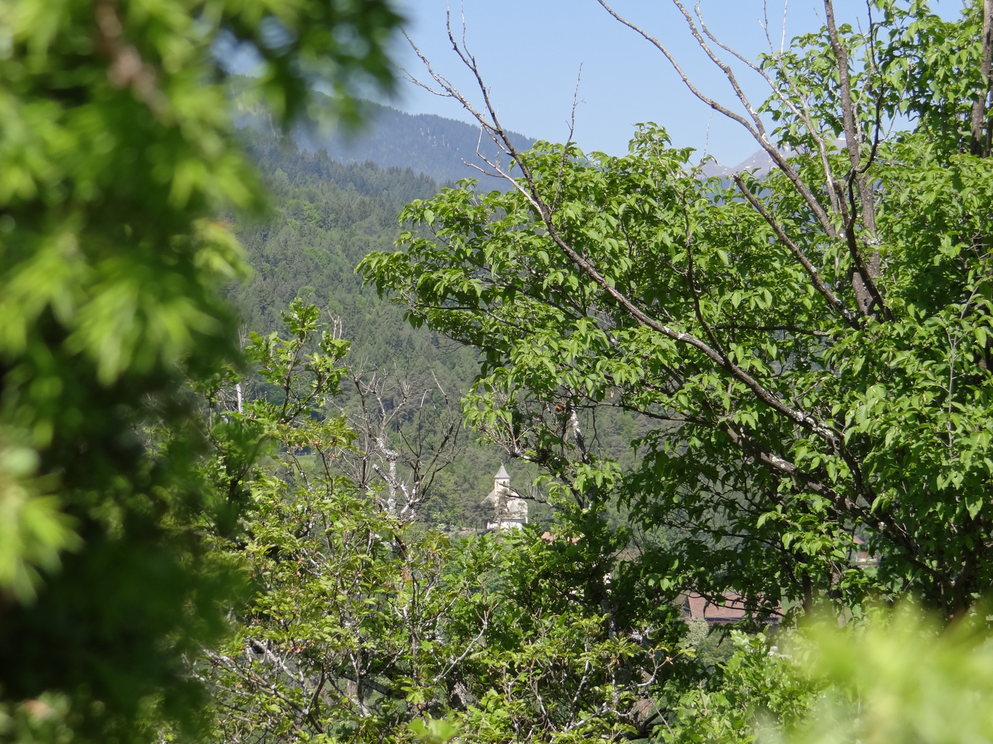 Schöne aussicht im Meran