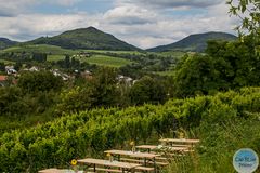 Schöne Aussicht vom Kalmitfest in Ilbesheim