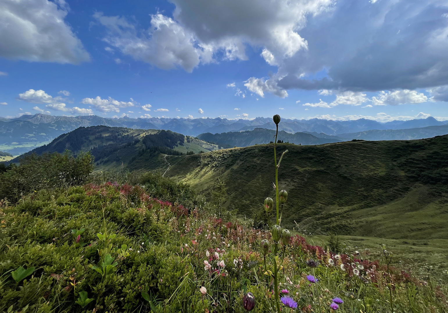 Schöne Aussicht vom Riedberger Horn