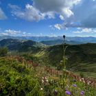 Schöne Aussicht vom Riedberger Horn